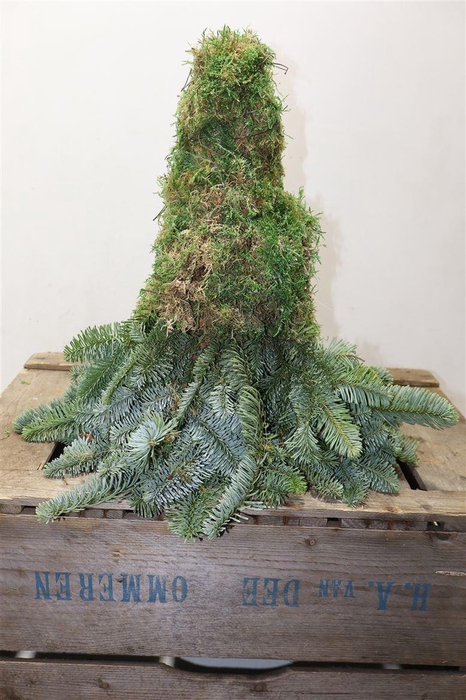 Noblis Mos Boom 40 Cm