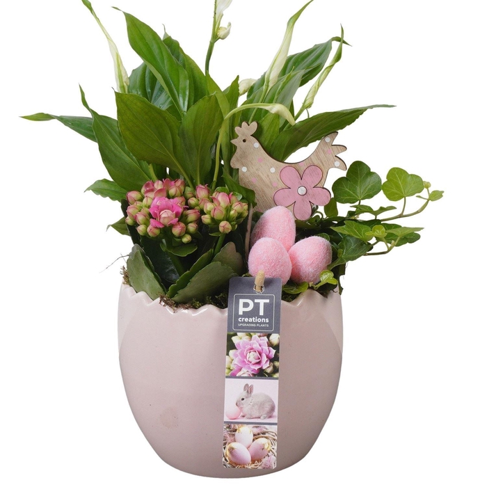 <h4>6495 ROZE KARTEL IND</h4>