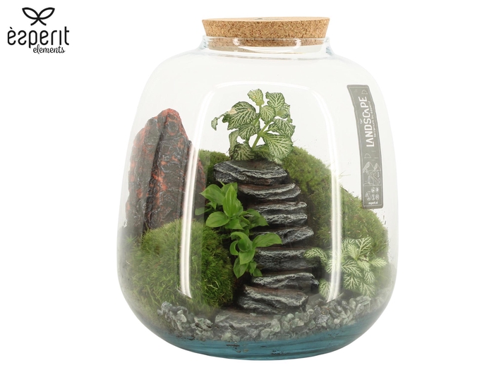 <h4>90773: Landscape terrarium arrangement</h4>