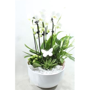 0975 Cascade WHITE