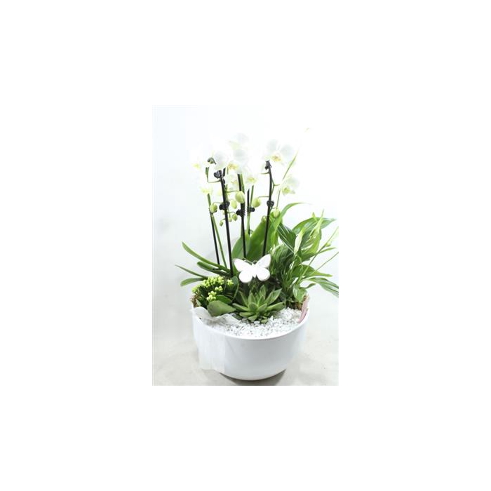 <h4>0975 Cascade WHITE</h4>