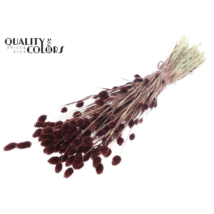 <h4>Phalaris per bunch Brown</h4>