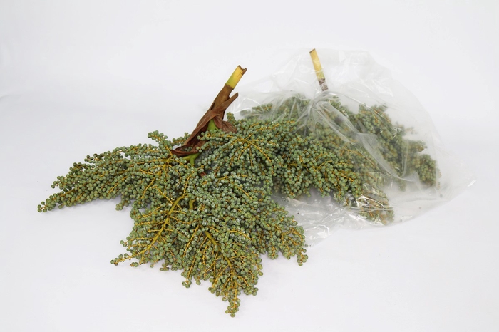 <h4>Dadels Lago/Dateln p/kg</h4>