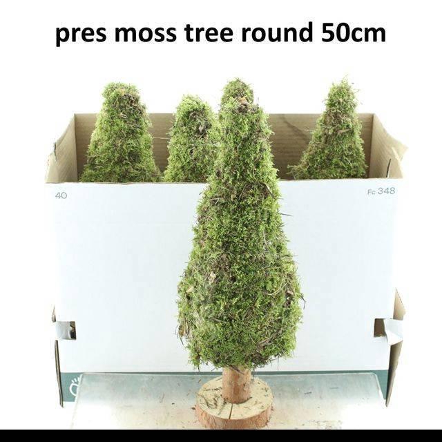 <h4>MOSSEN OV H%</h4>