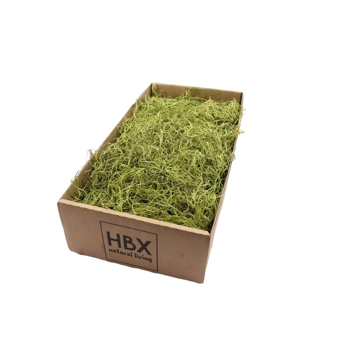 <h4>Dried articles Tillandsia moss 350g</h4>