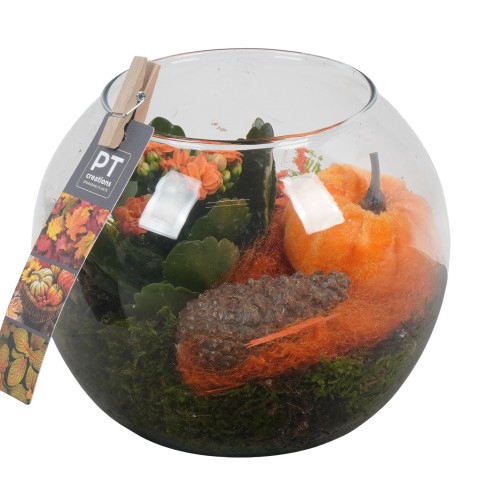 <h4>PTHG3376 Arrangementen kamerplanten</h4>