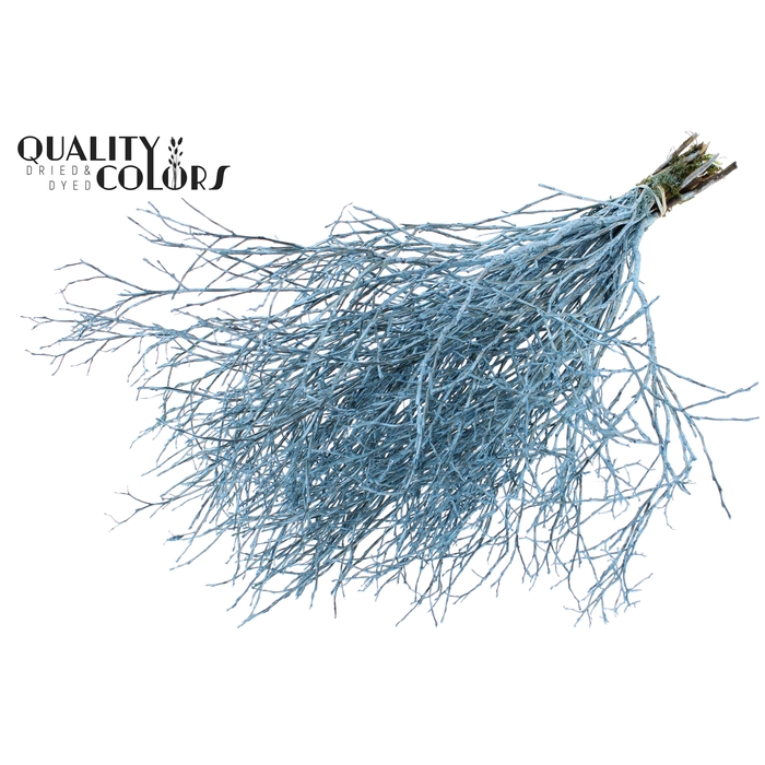 <h4>Huckelberry per bunch Metallic Blue</h4>