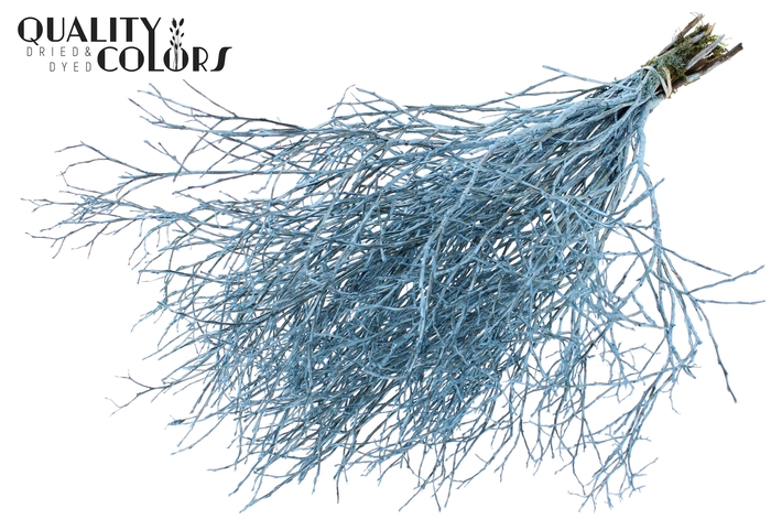 Huckelberry per bunch Metallic Blue