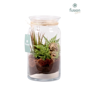 Glas Melkbus met Arrangement