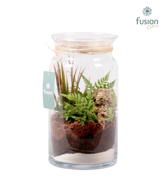 <h4>Glas Melkbus met Arrangement</h4>