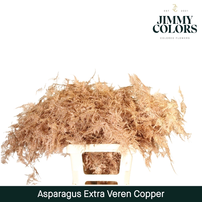 <h4>Aspa extra veren Copper</h4>