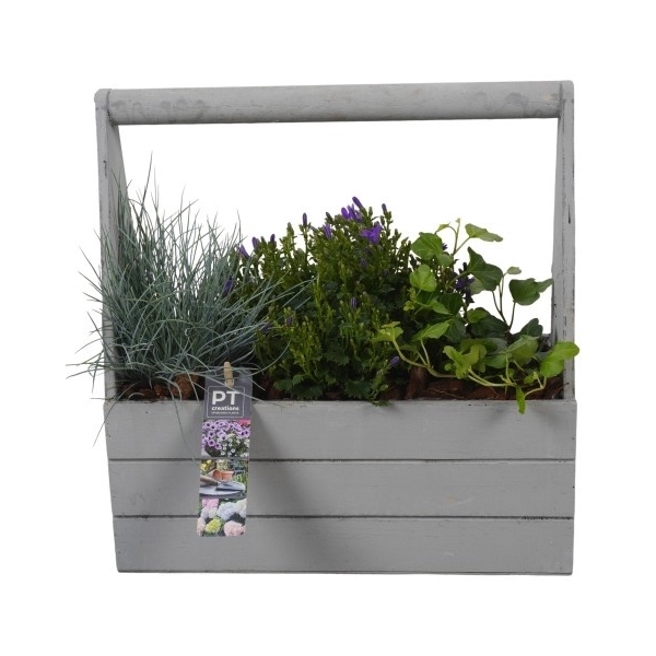 <h4>PTSO8330 Arrangement Summer Outdoor in houten bak</h4>