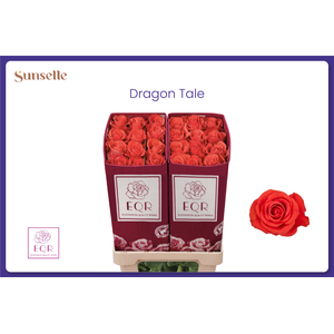 R GR DRAGON TALE