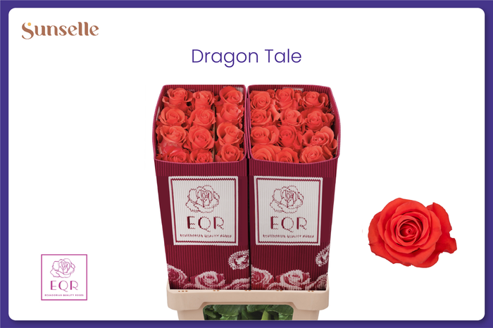 <h4>R GR DRAGON TALE</h4>