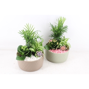 arr2 PL - Ker. schaal modern mix L x3