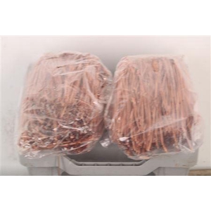 Pineneedles Copper Bag