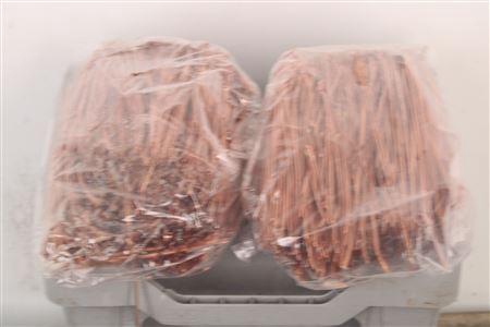 <h4>Pineneedles Copper Bag</h4>