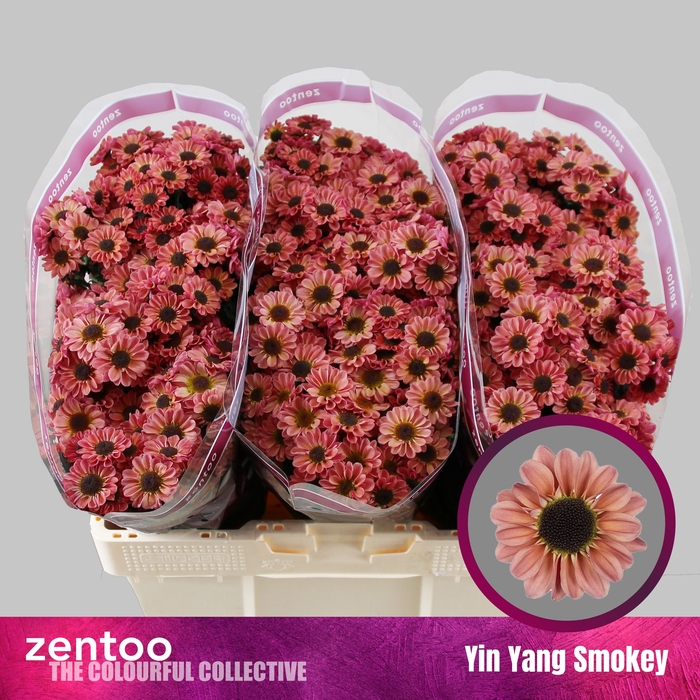 <h4>CHR S YIN YANG SMOKE</h4>