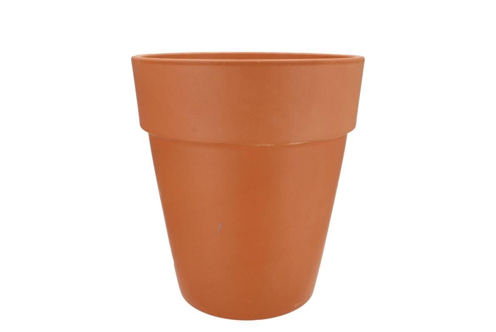 Terracotta Clematis Pot D23xh25cm Nm