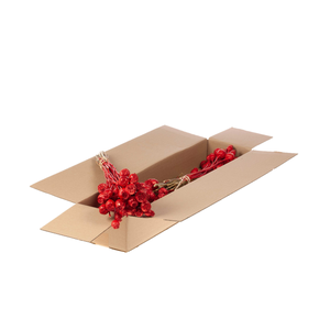 Papaver Sb Red Red Glitt