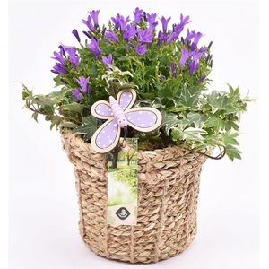 Touwmand met rand 17cm