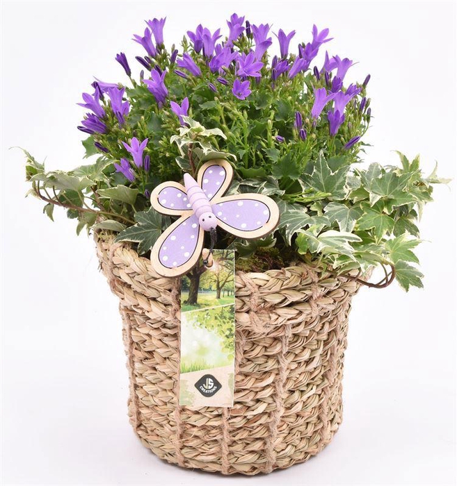 <h4>Touwmand met rand 17cm</h4>