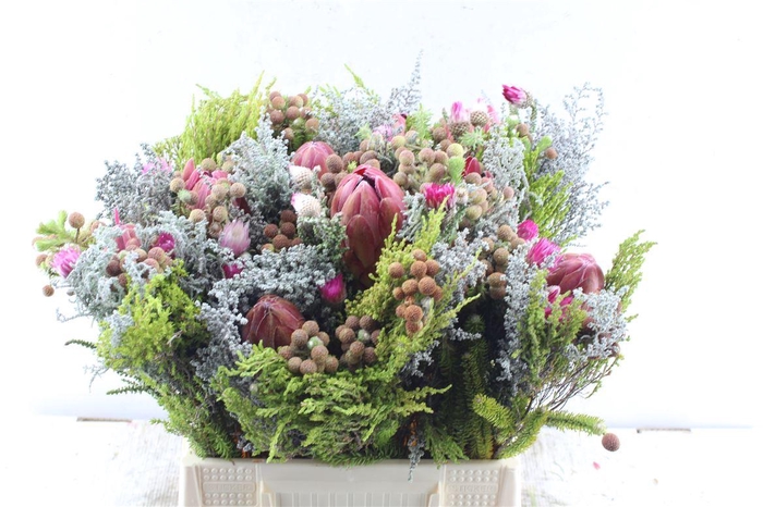 Protea Boeket