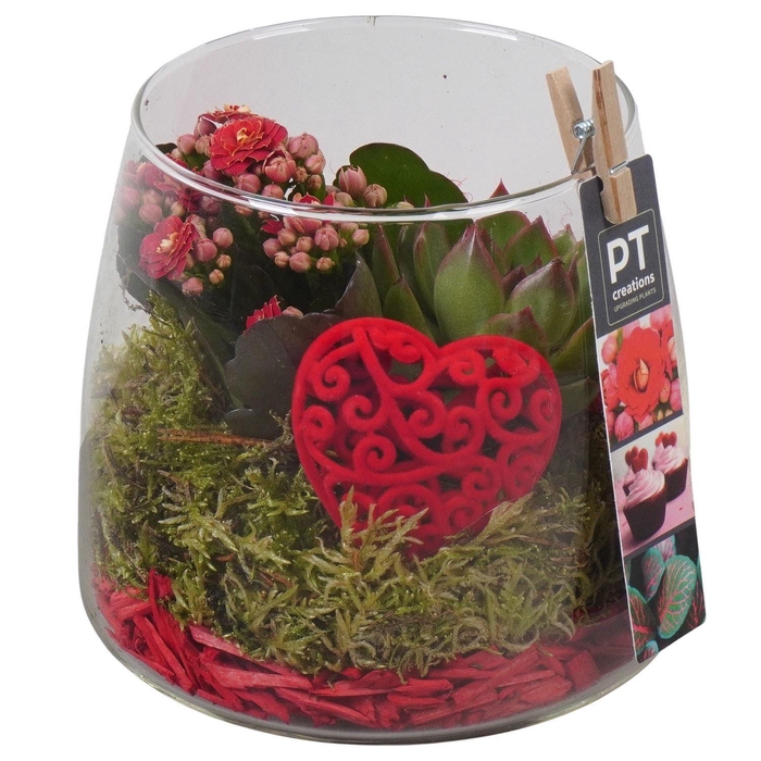 <h4>Arr. Planten L%</h4>