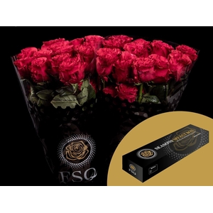 R GR Exotix Berry Box
