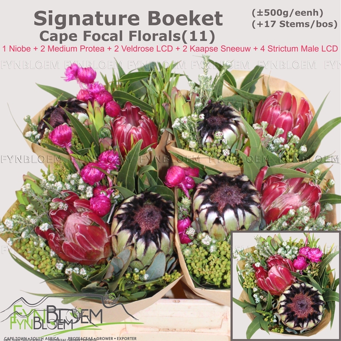 <h4>PROTEA PER BOS</h4>
