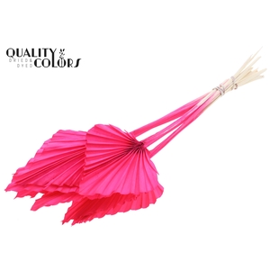 Palm spear per stem Intense Cerise