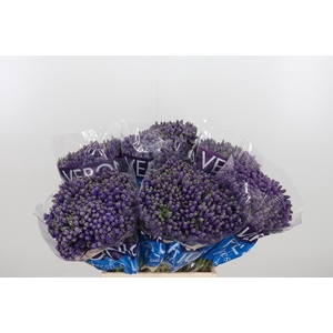 Veron Smart Fountain Spray