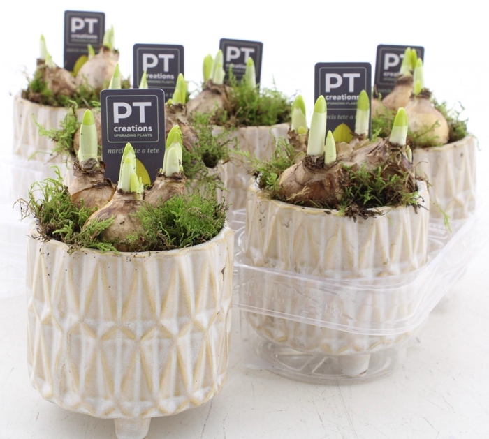 <h4>ARR N TETE A TETE</h4>