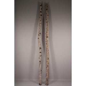 Birch Trunk 6-8cm 240cm