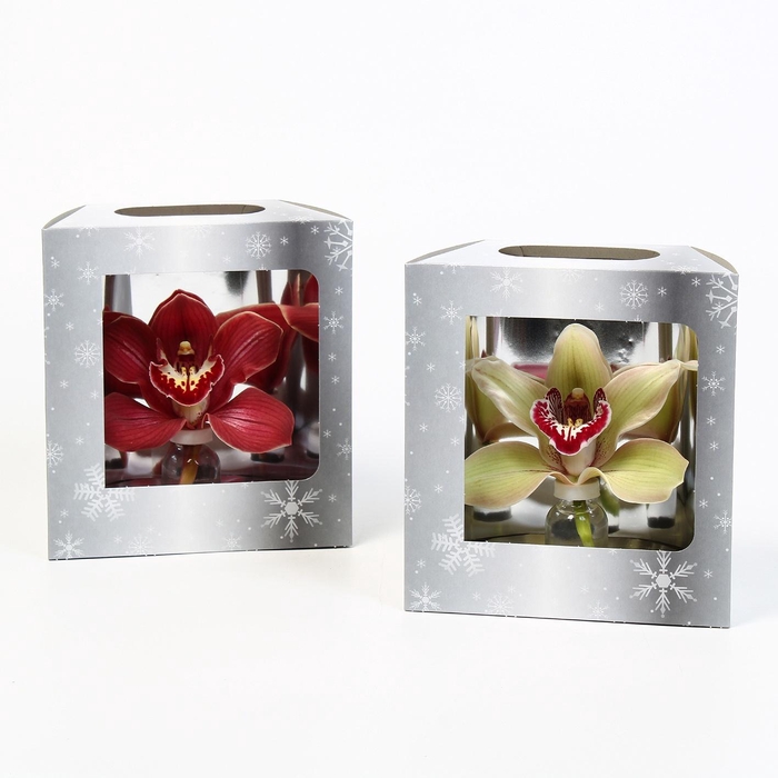 <h4>CYMB VERPAKT P BLOEM 2150</h4>