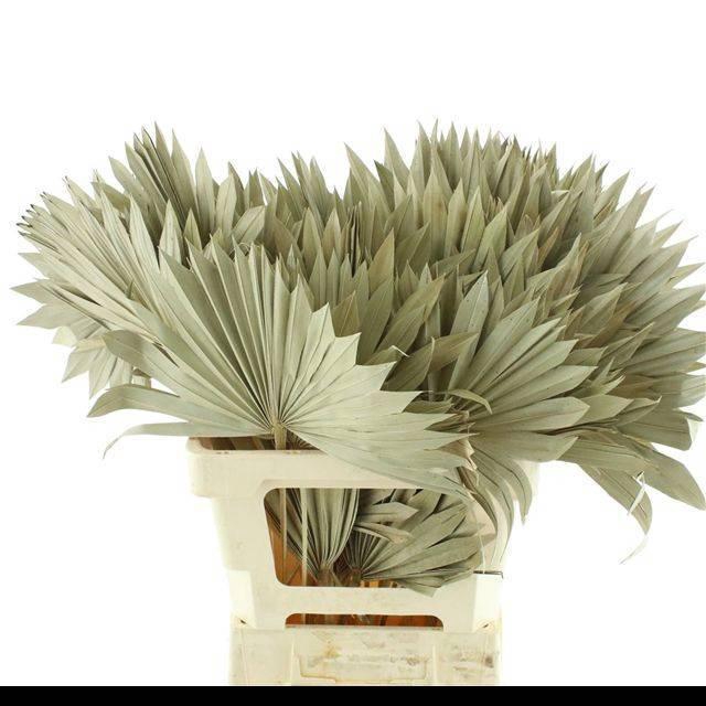 <h4>DROOGBL BEWERKT H%</h4>