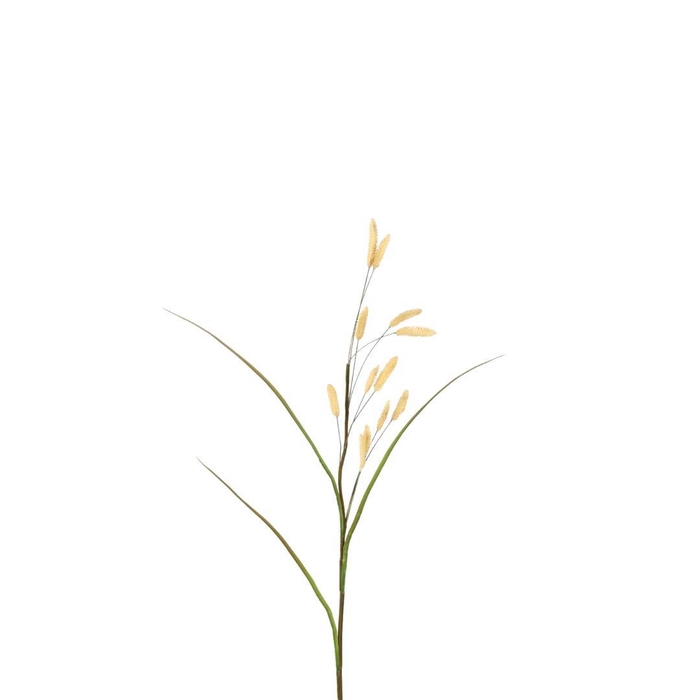 <h4>Kunstbloemen Dried Bunny Tails 114cm</h4>