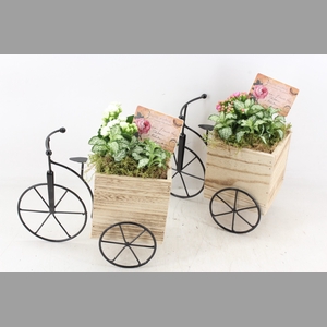 arr2 TD - Driewieler - roze/wit
