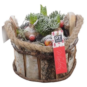 PTHCH6734 Arrangementen Hyacinthus