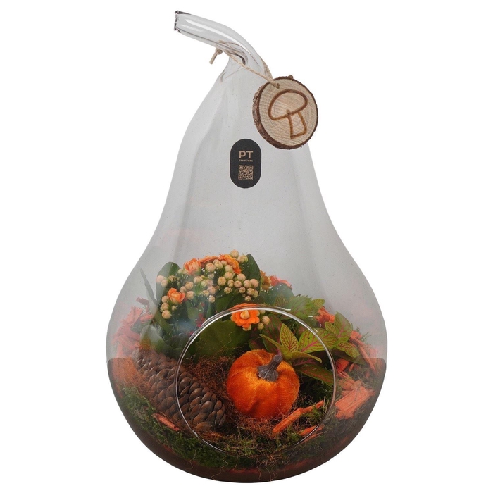 <h4>Arr.   Planten H%</h4>
