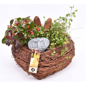 Natuur hart bruin salim 23x23cm