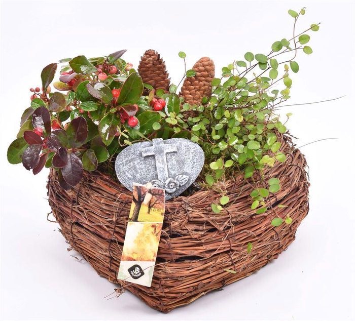 <h4>Natuur hart bruin salim 23x23cm</h4>