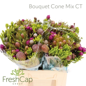 Bouquet Cone Mix Colour Treated