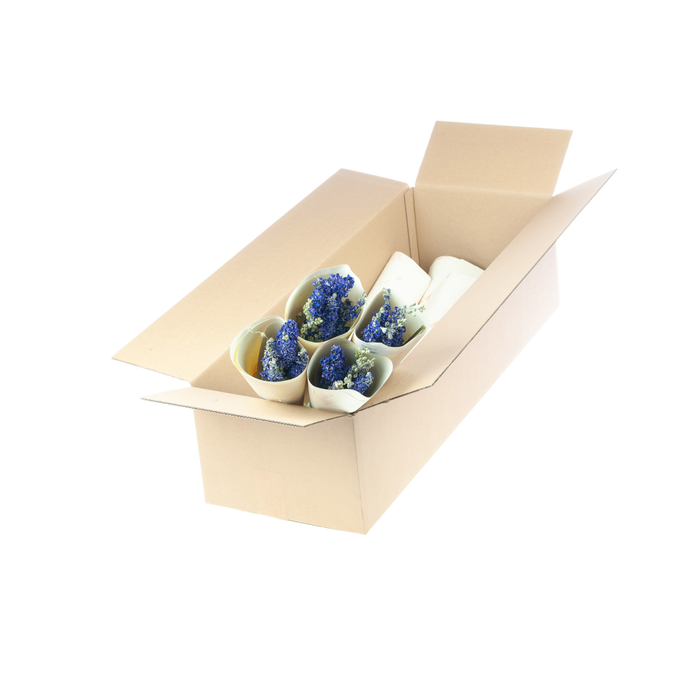 <h4>Delphinium nat. blue</h4>