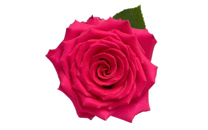 <h4>R GR HOT SPOT</h4>