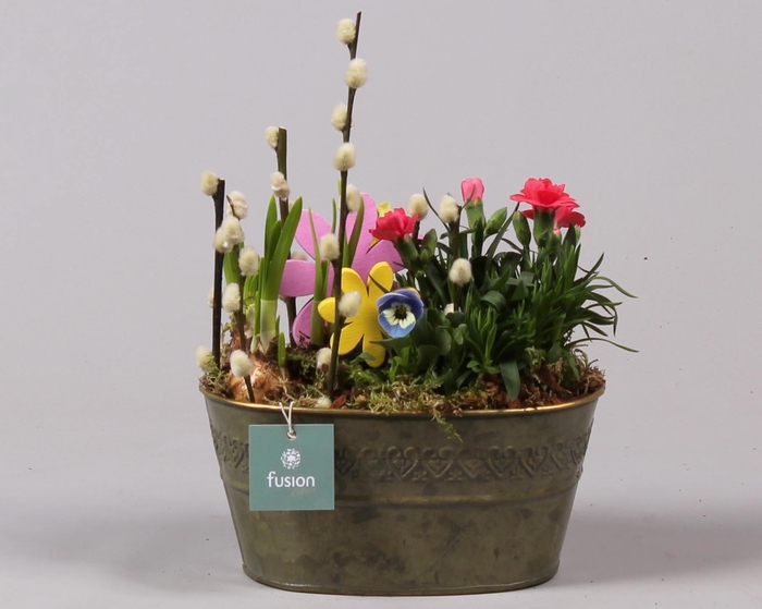 <h4>Schaal zink ovaal Voorjaar met Arrangement</h4>