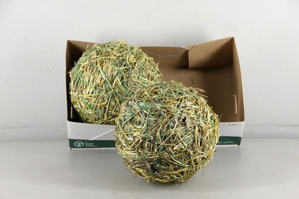 <h4>Ball Straw 30cm</h4>