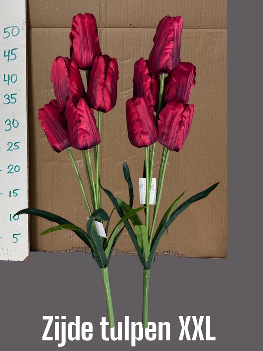 <h4>HUIS EN TUINDECO H%</h4>