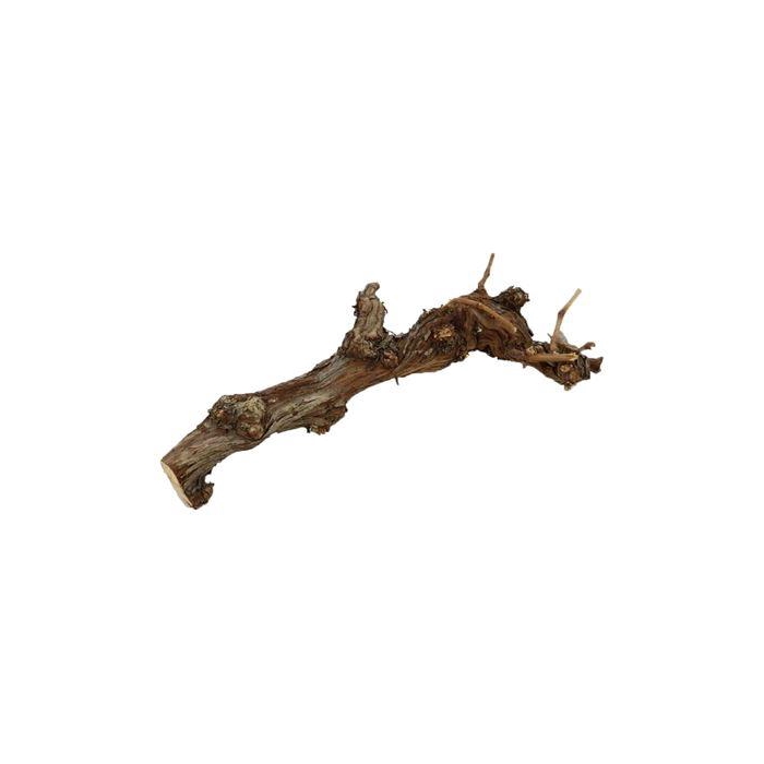 <h4>Branch Grape Goblet L35</h4>
