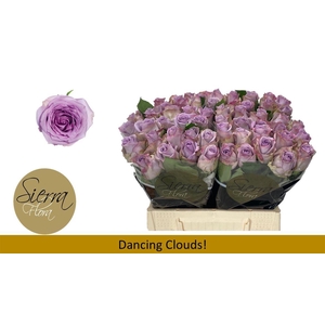 R Gr Dancing Clouds!